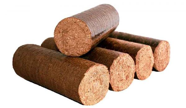 HolzbrikettsGuenstig Eiche